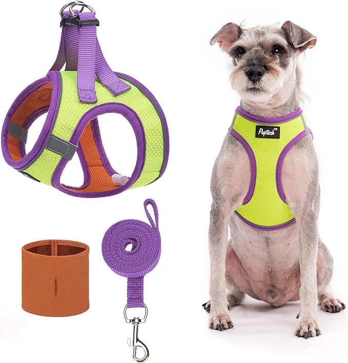 PUPTECK Adjustable Dog Harness Collar and Leash Set Step in No Pull Pet Harness for Small Medium Dogs Puppy and Cats Outdoor Walking Running, Soft Mesh Padded Reflective Vest Harnesses, GreenYellow XS