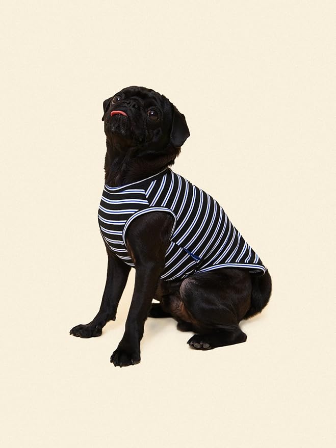 Little Beast Dog Clothes - Pet Clothers for Large, Medium, and Small Dogs (Dog Shirts Come in Multiple Colors and Styles) - Size: Large Dogs, Black/Blue