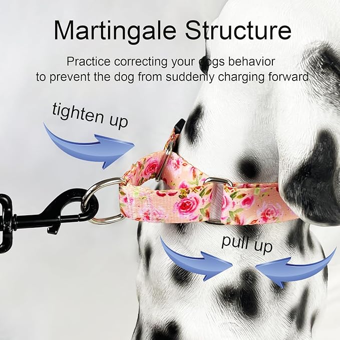 Female Martingale Dog Collar with Buckle Cute Girl Pink Floral Dog Collars for Medium Dogs, Watercolor Pink Rose