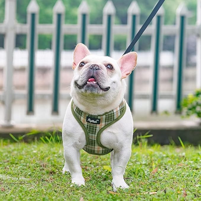 PUPTECK Soft Mesh Dog Harness and Leash Set Pet Puppy Cat Comfort Padded Vest No Pull Harnesses, Olive Green, L