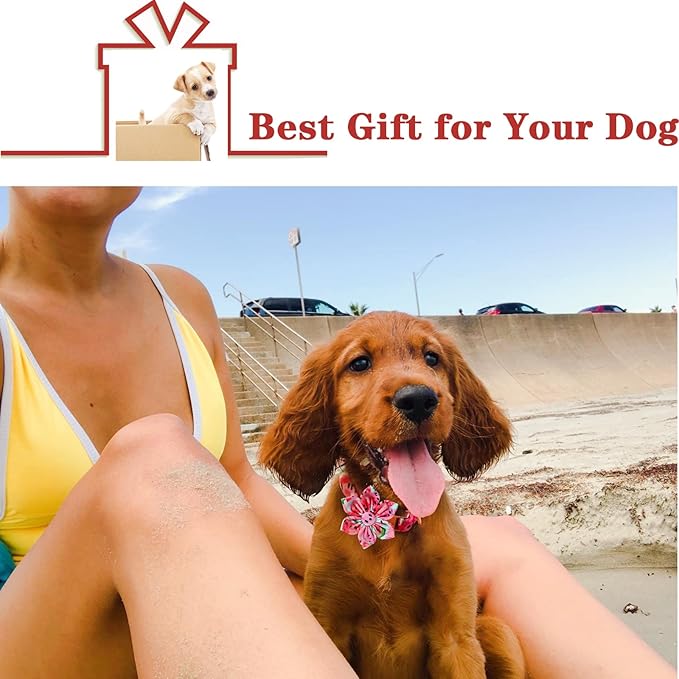 Unique style paws Dog Collar with Flower Tie Cotton Watermelon Collar Adjustable Summer Collar for Small Medium Large Dogs - XS