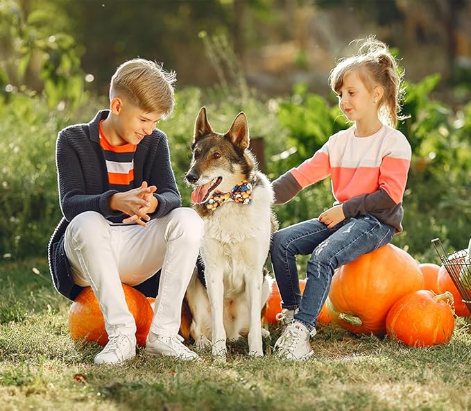 Tunkoo Happy Halloween Dog Collar with Pumpkin - Durable, Adjustable, and Stylish Pet Collar Available in Small, Medium, Large L