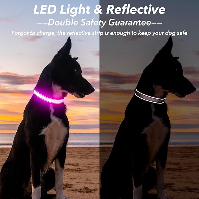 Visinite Light Up Dog Collars, Lighted Dog Collars Rechargeable Waterproof, Dog Glow Collar for Pet Safety Dog Lights Night Walking, Fully Adjustable Led Dog Collar for Small Medium Large Dogs