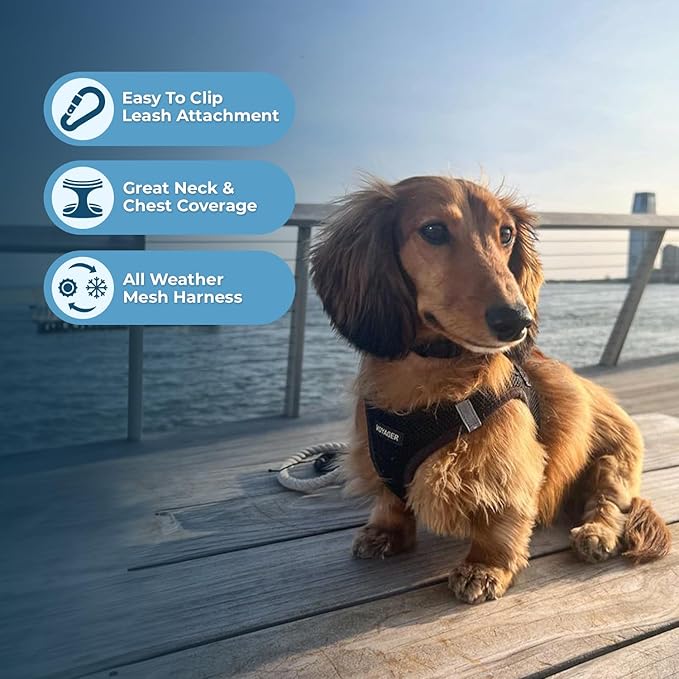 Voyager Step-in Air Dog Harness - All Weather Mesh, Reflective, No Pull Harness for Small, Medium Dogs, Cats - Secure with Hook & Loop Fastener, Buckle, Double D-Rings - Black, XXXS