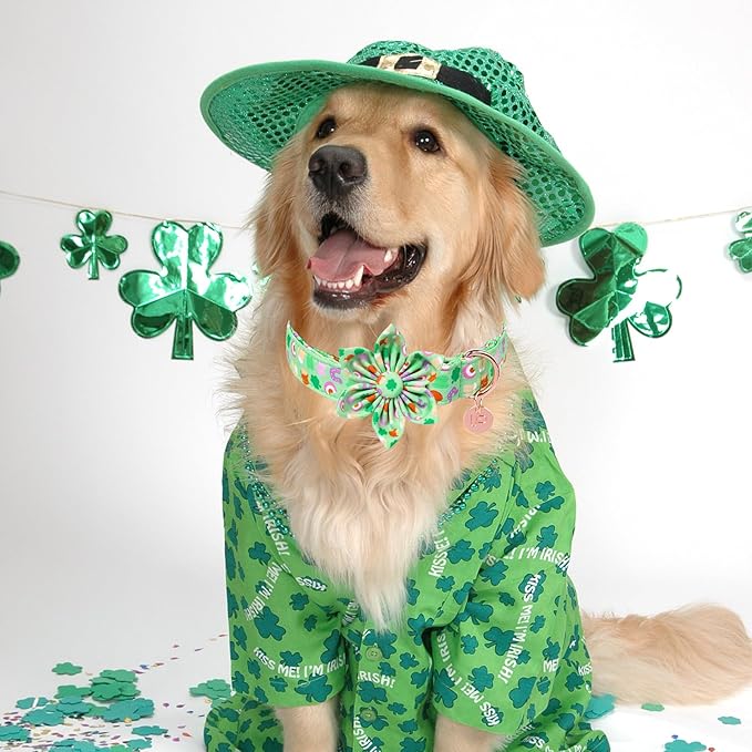 St. Patrick's Dog Collar with Flower, Cotton St. Patrick's Flower Collar for Girl Boy Dog, Lucky Shamrock Dog Collar with Metal Buckle, Green, Spring, XS