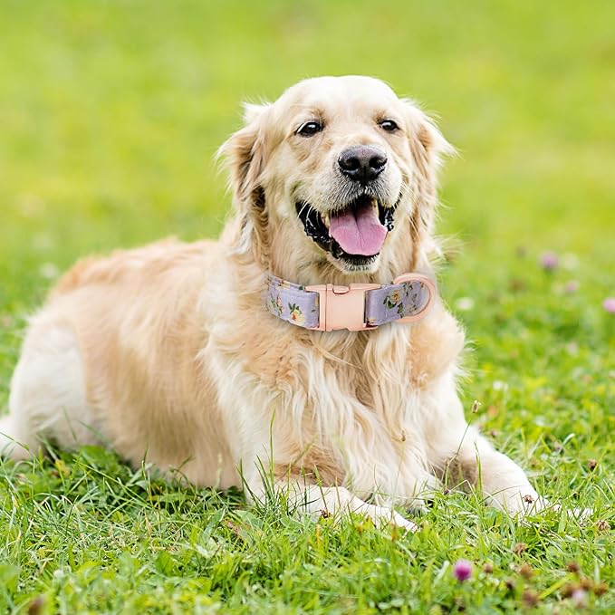 Dog Collar and Leash Set Girls Adjustable Puppy Collars with Floral Bow Tie for Small Medium Large Female Dogs, Light Purple Flower, L