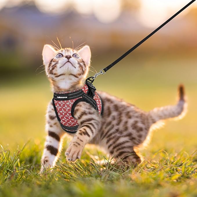 Cat Harness and Leash Escape Proof for Walking, Safe Adjustable Medium Kitten Vest Set with Reflective Strip for Kitty, Easy Control Comfortable Soft Outdoor Pet Harnesses, Red, Medium