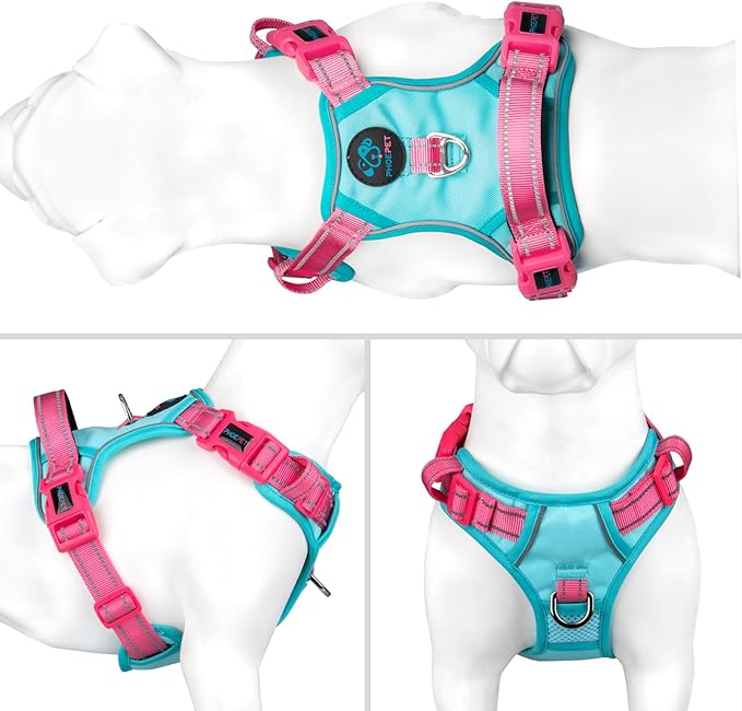 PHOEPET No Pull Dog Harness, Unique Colors Reflective Adjustable Dog Vest, with Soft Training Handle Metal Clips for Small Medium Large Dogs (Mint Green Base & Pink Straps,L)