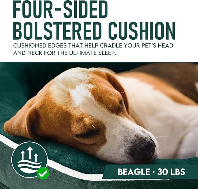 OhGeni Orthopedic Dog Couch Large Sized Pet Beds for Fathers Gifts with Comfort Foam Support, Soft Indestructible Fabric, Machine Washable Waterproof Removable Cover, 35-Inch (Dark Green)