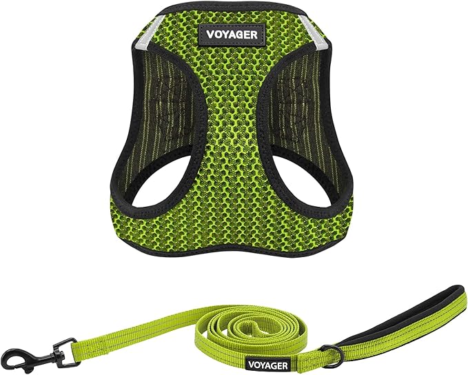 Voyager Step-in Air All Weather Mesh Harness and Reflective Dog 5 ft Leash Combo with Neoprene Handle, for Small, Medium and Large Breed Puppies by Best Pet Supplies - Lime Green (2-Tone), XS