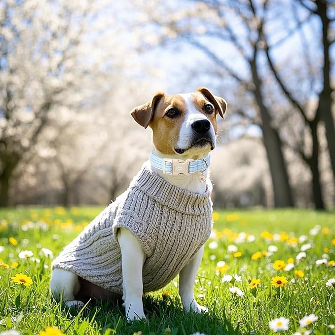 Cotton Dog Collar, Cute Blue Summer Puppy Collar with Plastic Buckle, Adjustable Soft Natural Fabric Pet Collar for Small Medium Large Dogs
