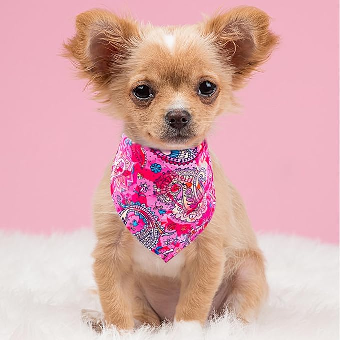 30 Pack Dog Bandanas for Small Dogs Cats Breed 18 Inch Paisley Polyester Print One Side Dog Bandana Bulk Reversible Triangle Bandana Party Grooming S