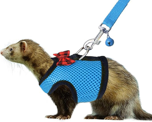 Rypet Animal Harness and Leash - Soft Mesh Pet Harness With Safe Bell, No Pull Comfort Padded Vest for Small Pet Blue M