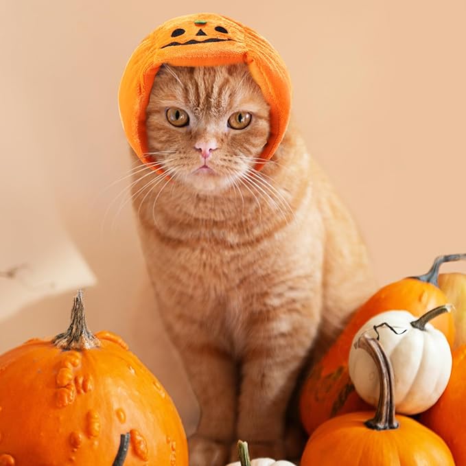 4 Pcs Cat Halloween Pumpkin Costume Dog Pumpkin Hat Adjustable Pet Headdress Cute Cap Headwear for Halloween Party Cosplay Costume Puppy Kitten Dress up Accessories