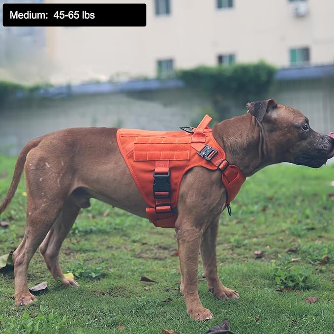 ICEFANG Tactical Dog Harness,Medium Size, 2X Metal Buckle,Working Dog MOLLE Vest with Handle,No Pulling Front Leash Clip,Hook and Loop Panel