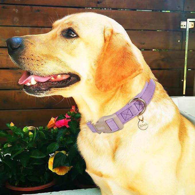 Faleela Dog Collar - Cute & Comfy Cotton Pet Collar, Adjustable Lightweight Design with Quick-Release Buckle, for Small, Medium & Large Dogs - Multiple Styles Available (Medium, Purple)