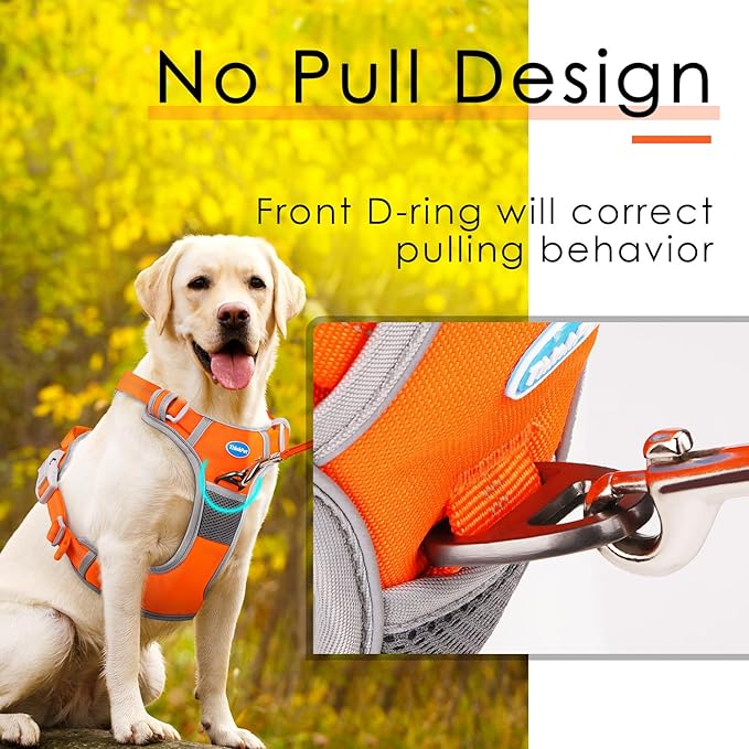 ThinkPet No Pull Harness Set Breathable Sport Harness with Handle - Reflective Padded Dog Safety Vest with Reflective Neon Dog Leash S Harness Leash Pack Orange