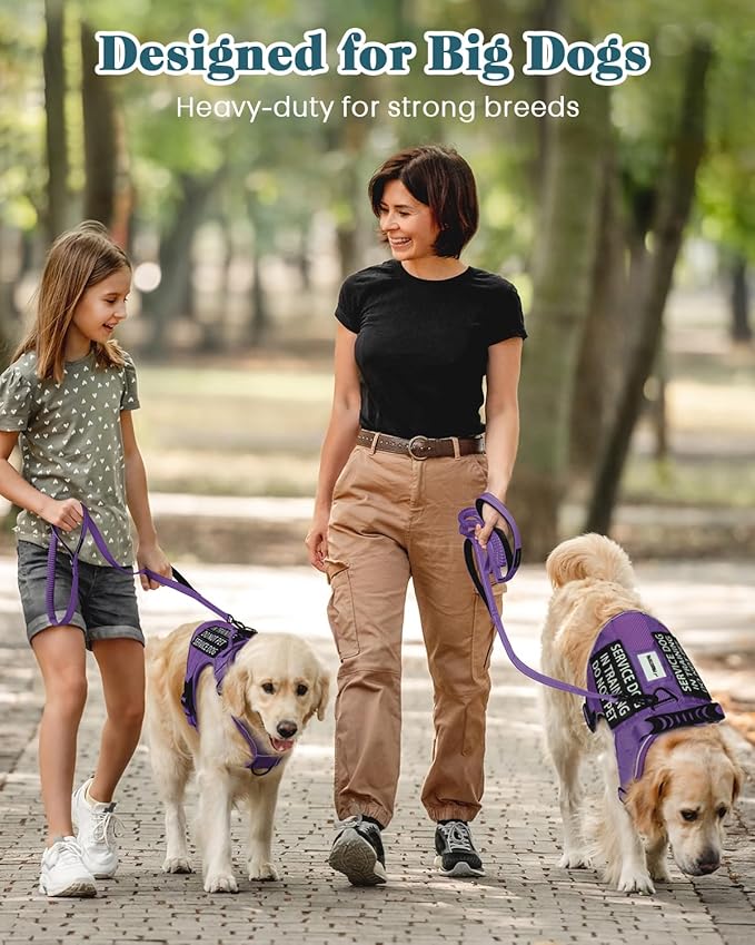 Reflective Service Dog in Training Vest Harness for Extra Large Dogs, Adjustable Heavy Duty Padded Purple Dog Harness, with Front Clip and Metal Buckles Do Not Pet for Training, Hiking