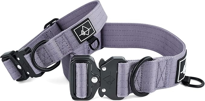 Made to ROAM Premium Dog Collar - Adjustable Heavy Duty Nylon Collar with Quick-Release Metal Buckle (Montana Moonrise, Classic Size 2)