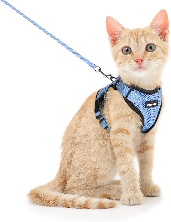 Dooradar Cat Harness and Leash Set, Escape Proof Safe Adjustable Kitten Vest Harnesses for Walking, Easy Control Soft Breathable Mesh Jacket with Reflective Strips for Cats, Light Blue, S