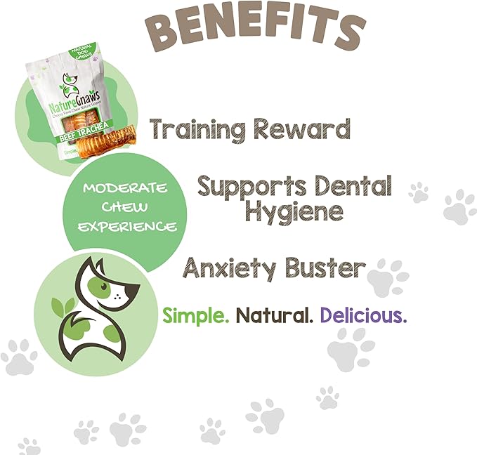 Nature Gnaws Beef Trachea Chews for Dogs 6" (6 Count) - Long Lasting Natural Crunchy Dog Chew Bones - Rawhide Free