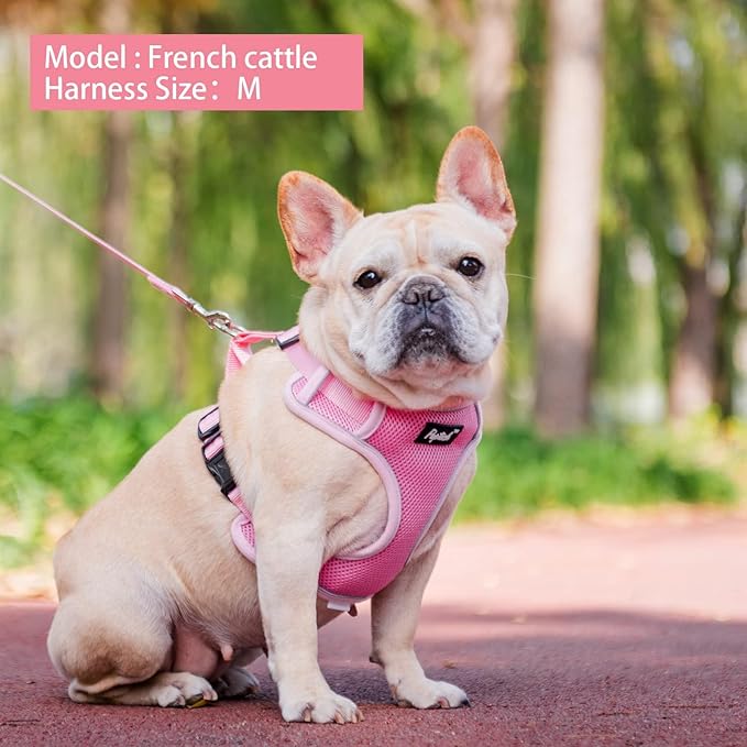 PUPTECK Dog Harness and Leash Set for Small Medium Dogs No Pull, Soft Mesh Adjustable Puppy Cat Harness Reflective at Night, Pink XS