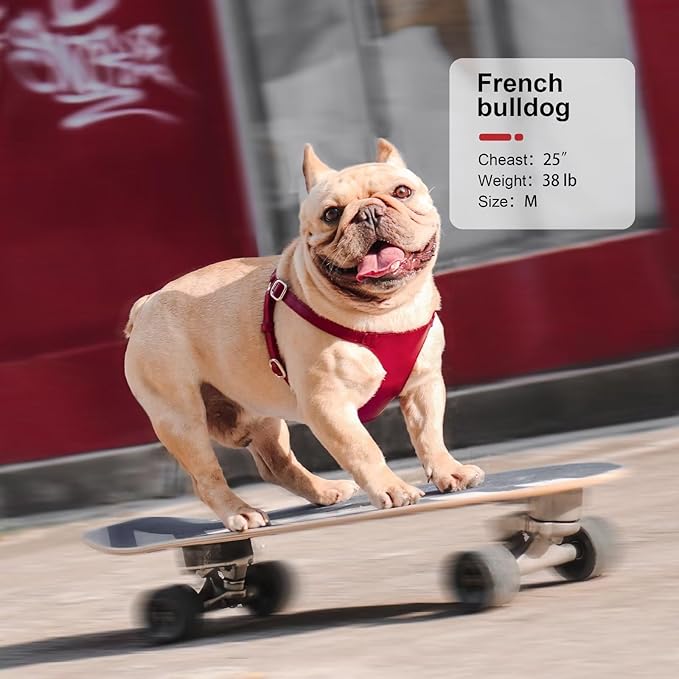 Didog Small Dog Harness and Leash Set, Soft & Lightweight Dog Vest Harness, Adjustable Leather Dog Harness for Small Medium Dogs, Red, M