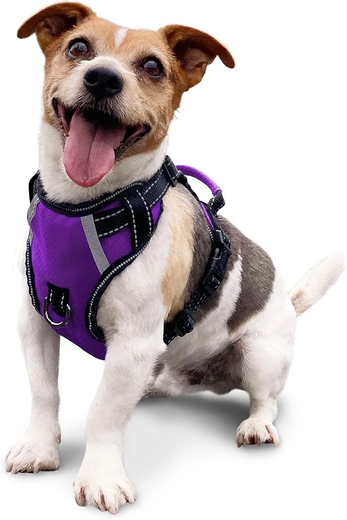 No Pull Dog Harness, Reflective Walking Dog Harness with Easy Control Handle and Front & Back Clips,Adjustable Breathable Soft Padded Dog Vest Harness for Large Medium Small Dogs,Purple,S