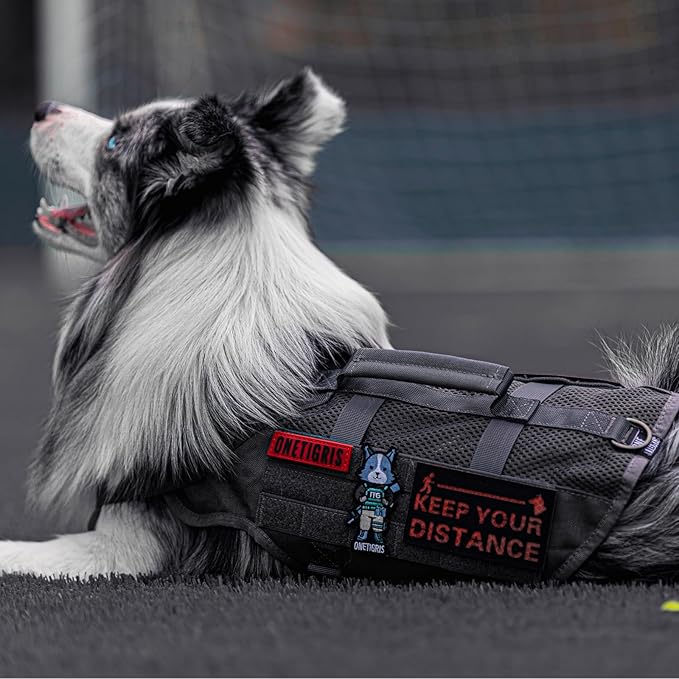 OneTigris Tactical No Pull Dog Harness for Large Dog, Mesh Design Dog Vest Harness Breathable Military Dog Molle Vests with Handles, Service Dog Vest Harness for Walking Hiking Training
