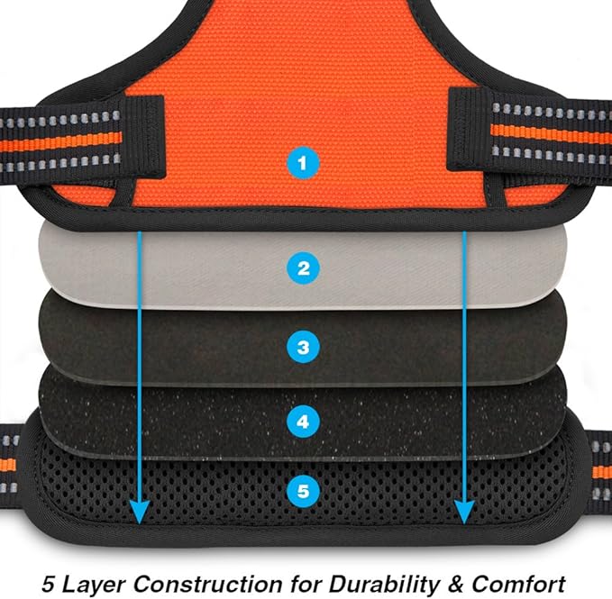 No Pull Dog Harness for Large Dogs, Dual Leash Attachments, Adjustable Soft but Strong Pet Harness with 3M Reflective Technology, Orange Nylon, XS (Chest: 13-16")