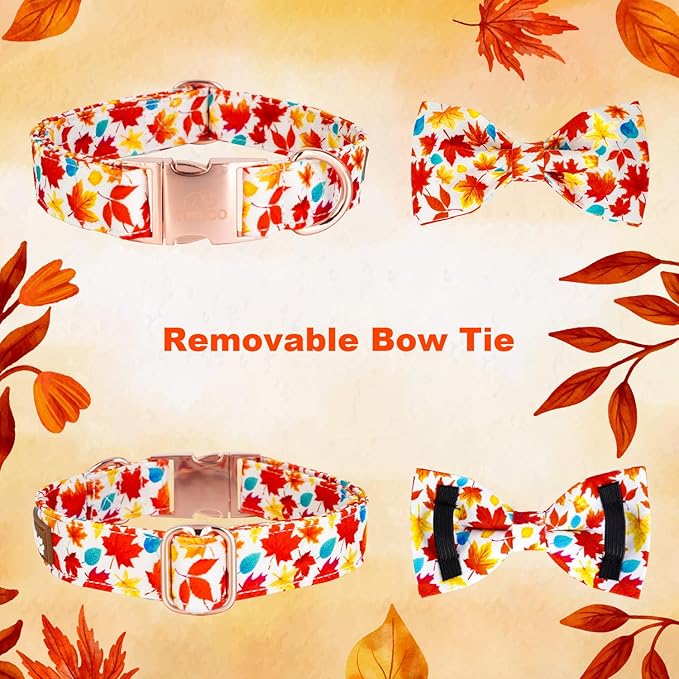 Tunkoo Fall Dog Collar with Elegant Bow Tie - Durable, Adjustable and Stylish Autumn Pet Collar, Available in Small Medium Large, S