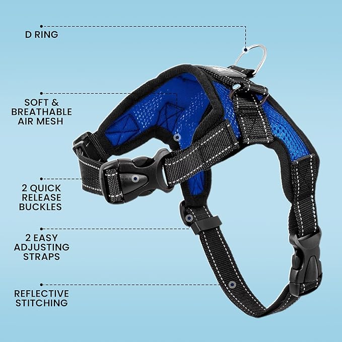 No Pull Reflective Adjustable Dog Harness With Handle- Comfortable Soft All Weather Mesh, Easy On Puppy Harness For Small Medium and Large Dogs (Blue) Small