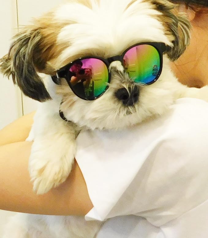 G014 Dog Cat Pet Panto Round Sunglasses for Small Breeds up to 15lbs (Panto Black-Rainbow Mirror)