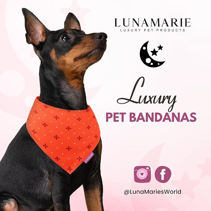 Luxury Pet Birthday Bandanas -Premium & Silky Poly Fabric | 100% Handmade | Custom Shape Dual Layered (Ember, Medium)