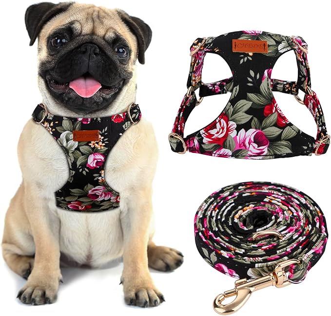 CHEDE Floral Pattern Dog Harness - Lightweight, Soft, Adjustable, Small & Medium Dog Harness and Leash Set, Suitable for Puppy (S, Black Flower)