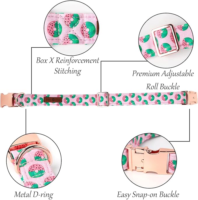 Lionet Paws Female Dog Collar with Flower, Soft Comfortable Adjustable Donut Collar for X-Large Dogs, Neck 16-26 inches