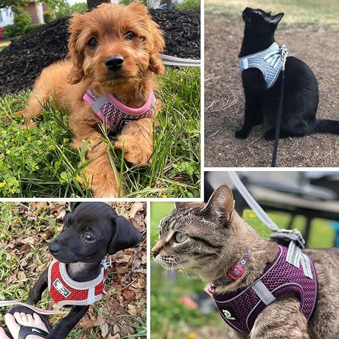 Dog and Cat Universal Harness with Leash - Cat Harness Escape Proof - Adjustable Reflective Step in Dog Harness for Small Dogs Medium Dogs - Soft Mesh Comfort Fit No Pull No Choke, Pink, L