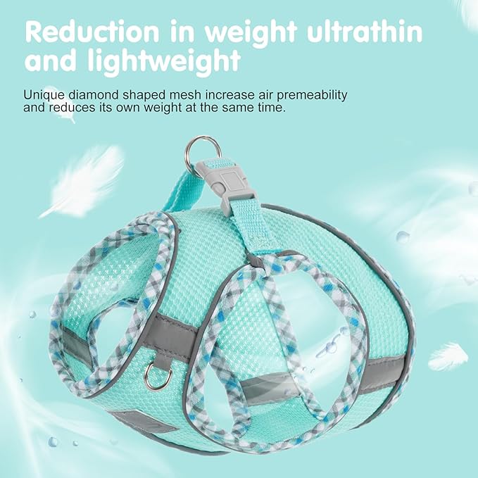 Dog Harness & Leash Set - No Pull Soft Breathable Small Dog Harness, Adjustable Reflective Step-in Vest for Puppy, Kitten, Cats