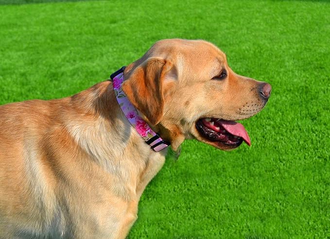 Dog Collar with Bohemia Floral Tribal Geometric Patterns - Soft Ethnic Style Collar Adjustable for Small Medium Large Dogs (Pink Rose, S)