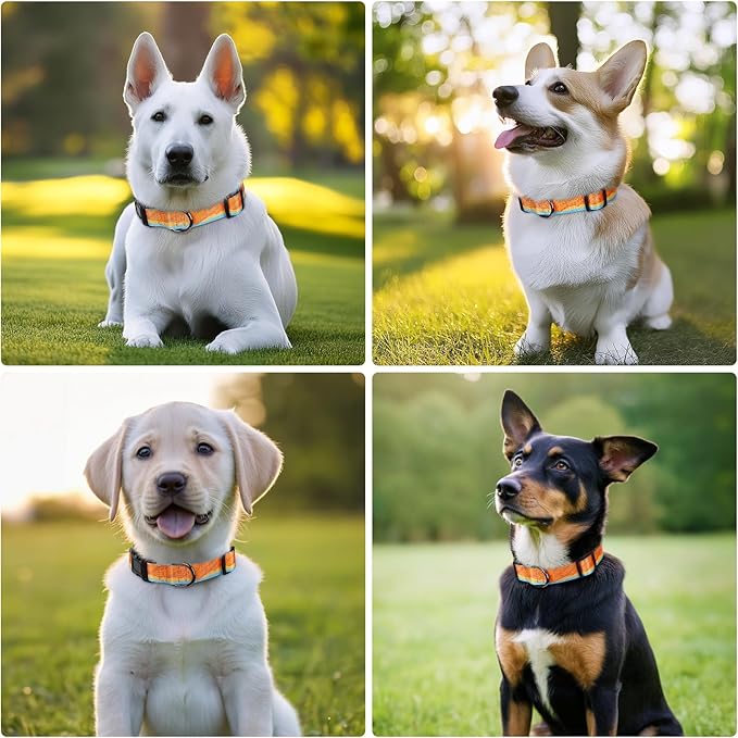Timos Dog Collar, Adjustable Soft Dog Collar for Small Medium Large Dogs, Patterned Puppy Collars with Quick Release Buckle for Boy and Girl Female Dogs,S Length 9.84''-14.96'