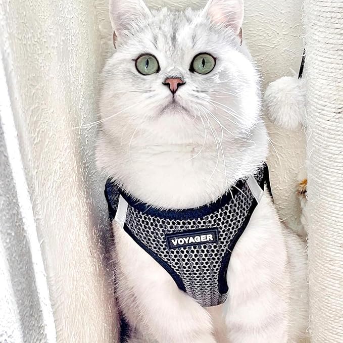 Voyager Step-in Air All Weather Mesh Harness and Reflective Dog 5 ft Leash Combo with Neoprene Handle, for Small, Medium and Large Breed Puppies by Best Pet Supplies - Gray (2-Tone), L