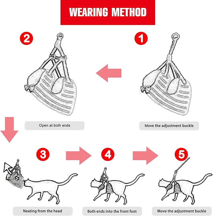 Rypet Small Dog Harness and Leash Set - No Pull Pet Harness with Soft Mesh Nylon Vest for Small Dogs and Cats Red M