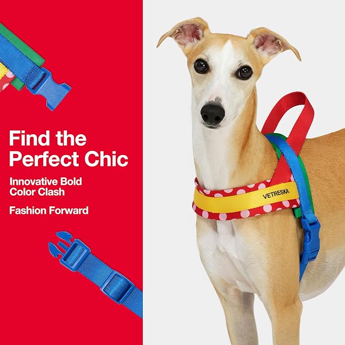 VETRESKA MoMA Dog Harness and Leash Set, No-Pull Puppy Harness for Walking and Training, Easy Walk Dog Harness for Small Medium Dogs, Adjustable, Take Control & Anti-Twist Pet Lead Combo (Red, S)