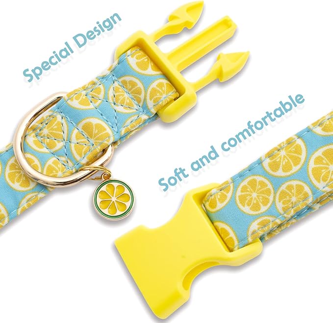 Faygarsle Cute Dog Collar for Girls Boy Dogs Soft Fancy Pet Collar with Lemon Design Ideal Yellow Green Summer Dog Collar for Small Medium Large Dogs L