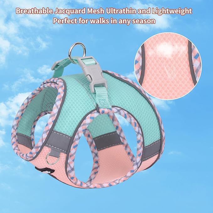 AIITLE XXS Dog Harness & Leash Set - Breathable Reflective No-Choke Small Dog Harness for Teacup Puppies, Indoor/Outdoor Use - Boston Terrier, Maltese, Chihuahua (Turquoise-Pink, XXS)