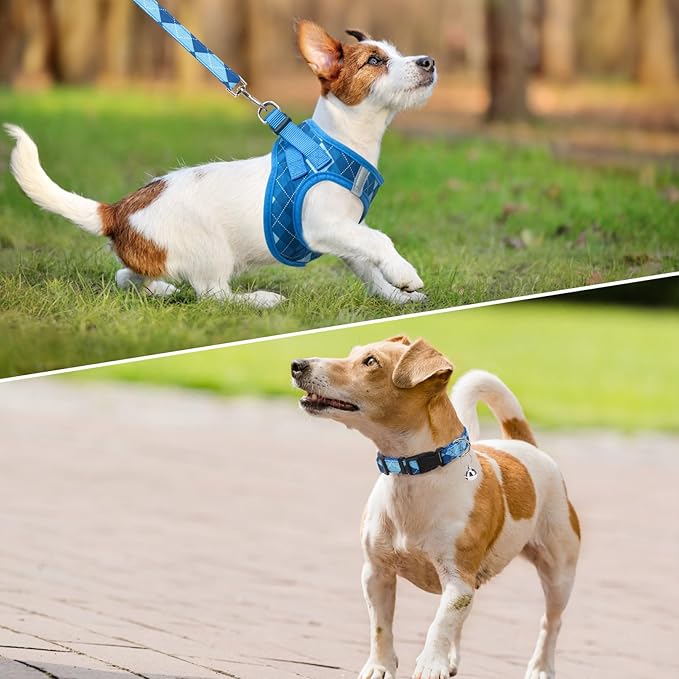 SCENEREAL Dog Harness Collar and Leash Set, Step-in No Pull Pet Vest Harnesses for Small Medium Dogs Puppy Cats, Soft Mesh No-Chock Reflective Vest Harness for Outdoor Walking Running, Blue Plaid XS