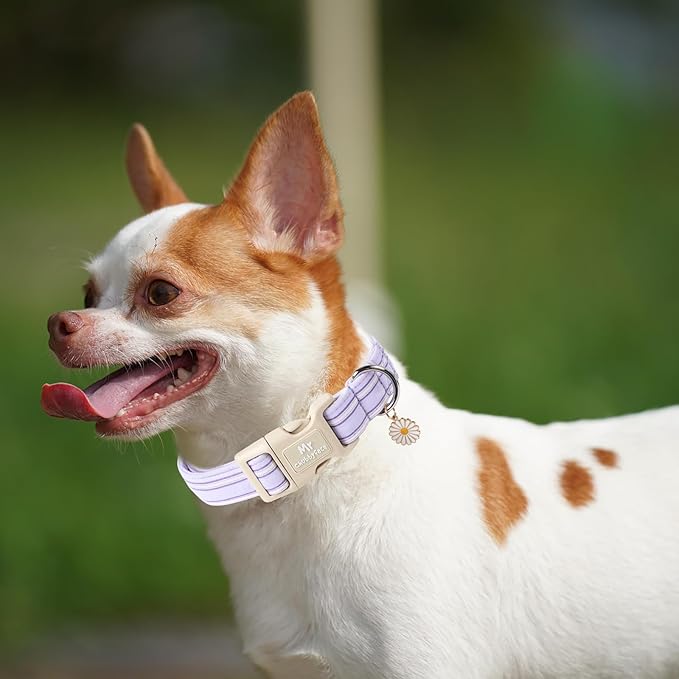Cotton Dog Collar, Cute Lavender Summer Puppy Collar with Plastic Buckle, Adjustable Soft Natural Fabric Pet Collar for Small Medium Large Dogs