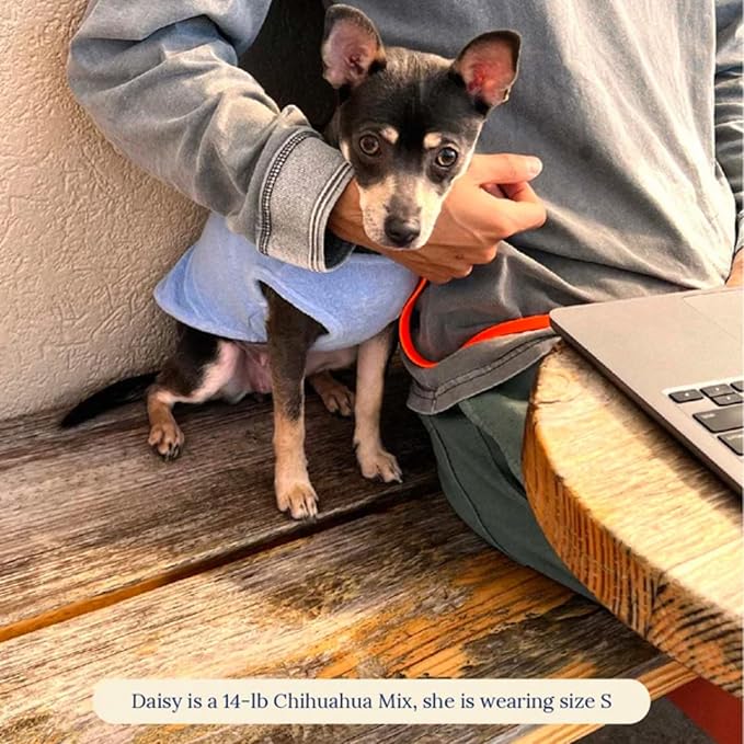 ADEDAS Sleeveless Shirt - Blue XXL