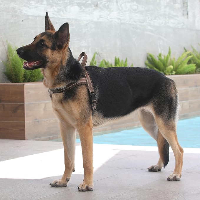 Plutus Pet No Pull Dog Harness with Breathable Mesh Padded, Adjustable Reflective Escape Proof Dog Harness, Quick Fit Dog Vest Harness for Small Medium Large Dogs(L, Chocolate)