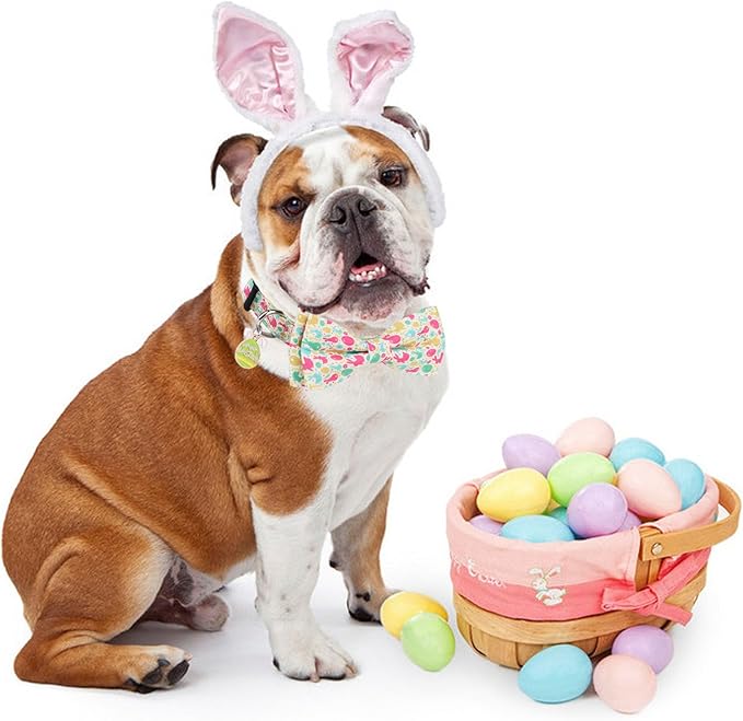 ADOGGYGO Easter Dog Collar with Detachable Bow, Adjustable Easter Bunny Bowtie Collar for Small Medium Large Dogs (Small)